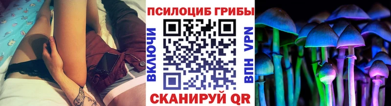 Галлюциногенные грибы Psilocybe  как найти   Ставрополь 