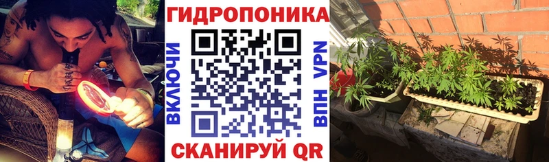 Марихуана Bruce Banner  mega вход  Ставрополь 